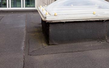 disadvantages of Hall Cross flat roofs