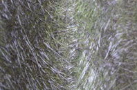 Hall Cross fibreglass roof work